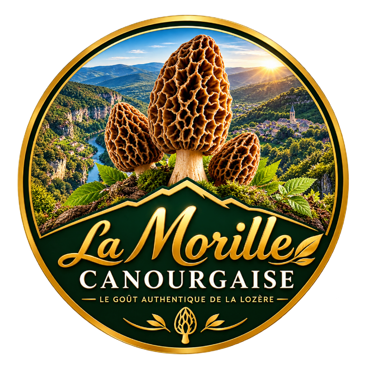 La Morille Canourgaise